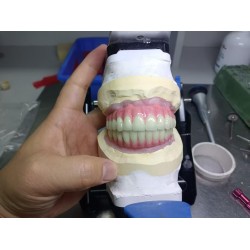 義齒外貿(mào)公司 牙科產(chǎn)品出口代理 一站式牙科解決方案